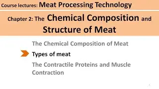 C2-07 fatty tissue| Meat Technology