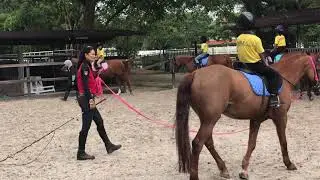 Horse Riding classes in Singapore | Singapore Polo Club | Sreekar Karthik Gajulapalli |