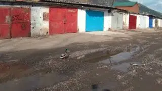 Утки в гаражах, и всё им п....