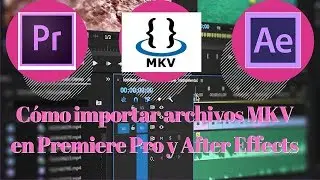 Cómo importar videos MKV en Premiere Pro y After Effects