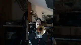 RAKE STEPPER by @toomanyzooz