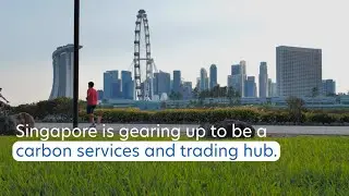 Singapore as carbon trading and services hub | UOB ASEAN Insights