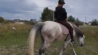 Наталия и Фаир. комплексное занятие
