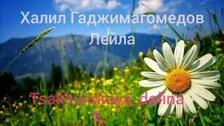Халил Гаджимагомедов - Лейла. Цахурские песни 2020г.