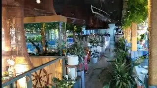 Обзор Квартиры в Ростове, Прогулка на Теплоходе и Ресторан 25 Причал