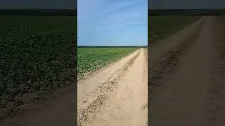 10 сентября 2024 г.