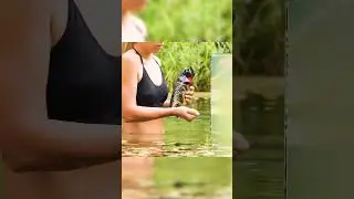 Интересная штука для водоема с рыбами