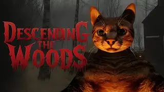 Descending into haunted woods with my cat