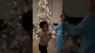 Christmas Tree Decorating! #christmas #christmastree #christmasdecor #familytime #family #kidsvideo