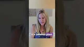 Plant stem cells for better bones