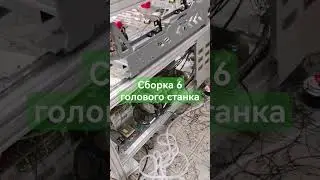 11 февраля 2024 г.