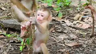 The MOST ADORABLE Baby Animal Moments You've Never Seen
