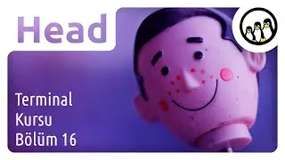 Head (Dosyanın Başını Oku) | Linux Terminal Kursu