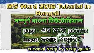 How to Change Page Background Style in Word! Easy Tutorial!