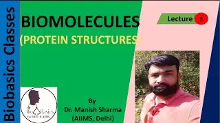 Protein Structure (Biomolecules): NCERT (Chapter 9), NEET, 11th Class,