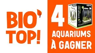 [TERMINÉ] 4 AQUARIUMS À GAGNER ! Concours Bio'Top Aquariophilie ! Avec Cichlids-Import.com