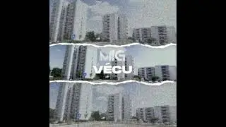 MIG - Vécu (Audio Exclu 2022)