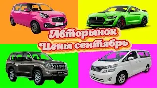 АВТОРЫНОК актуальные ЦЕНЫ! Зелёный угол Владивосток. Civic, Fit, Freed, Passo, Sienta и другие авто