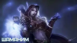 Шаманим твинкованым хиллером в World Of Warcraft