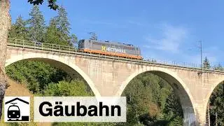 Es läuft an der Gäubahn Singen–Hattingen–Tuttlingen