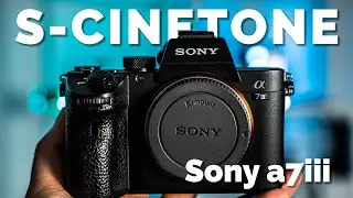 How to Get S-CINETONE ON THE SONY A7III + FREE LUT