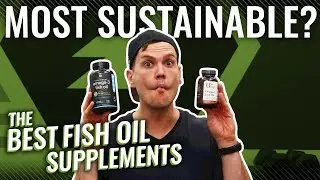 The BEST Fish Oils of 2021 (Best for Athletes, Best Stack, Best for Women and More!)