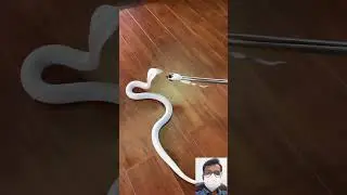 viral snake video || 🔥🤯😱 #shorts #shortfeed #short