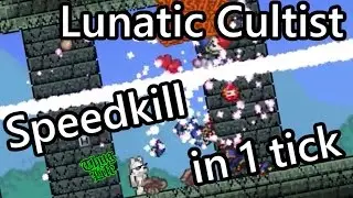 Terraria - Lunatic Cultist Speedkill in 1 tick (World Record)