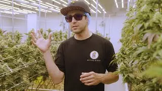 No Till Kings Update 2023