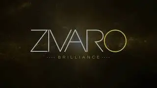 GTRI now Zivaro, Inc.