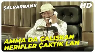 Şalvarbank - Reşit Ağa, Banka Kuruyor! | Sadri Alışık Eski Türk Filmi