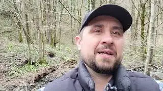 Как сущности с вас качают энергию? 