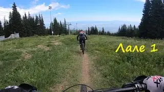 Витошко лале 1