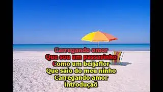 12  Passarinho Amado Batista wmv music