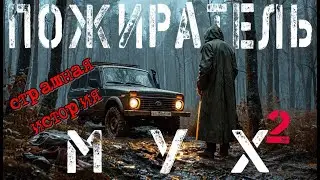 Страшная история. Пожиратель мух -2. Аудиокнига.
