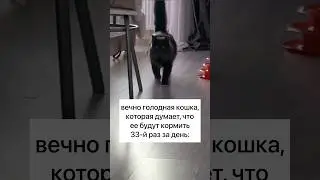 ОБЛОМЧИК)))) 🐈‍⬛ 