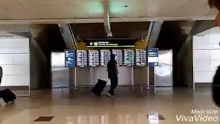 Galería de tonterías del viaje por el río Rin