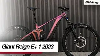 Presentación | Giant Reign E+ 1 2023