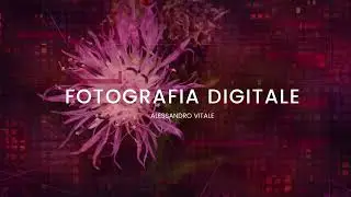 Fotografia digitale e macro di Alessandro Vitale
