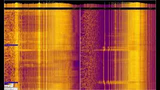 EMF 22/23-05-2024