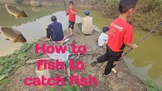 How to fish to catch fish bạt