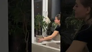 Бюджетная находка с WB для хозяйки - набор кашпо с автополивом🪴 АРТ:175818318 #находка#wildberries