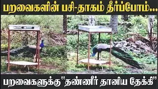 பறவைகளின் பசி தாகம் தீர்ப்போம் | பறவைகளுக்கு தண்ணீர் வைப்போம் | Let's protect the birds