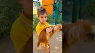 خلودة اتحدى الخوف وحمل كلاب😱