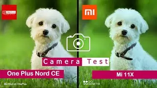 Oneplus Nord CE vs Mi 11X| Camera Comparison |Camera Test | Tech Song |
