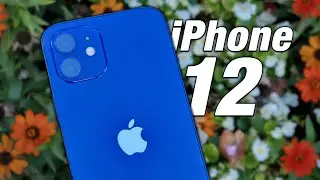 iPhone 12 - 2023 Review! (Still Worth Buying?)