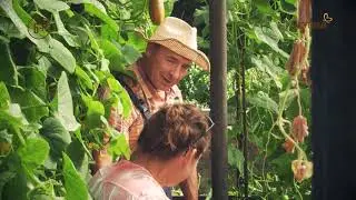 Промо. Загородный. Что делать?