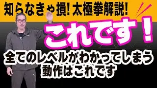 【太極拳解説】チーシー実はこんなことやっています。全てのレベルがわかってしまう！しっくりしたい！太極拳の疑問？上達のコツをわかりやすく解説。初心者からベテランまで誰でも気軽にできる中村げんこうの太極拳