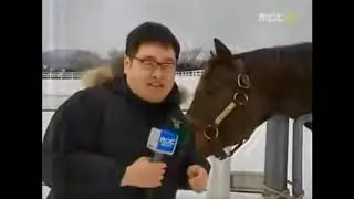 레전드 NEWS 방송사고 2탄 ...아 ㅋㅋㅋ