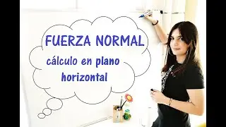 Physics – NORMAL FORCE: how to calculate it on horizontal planes